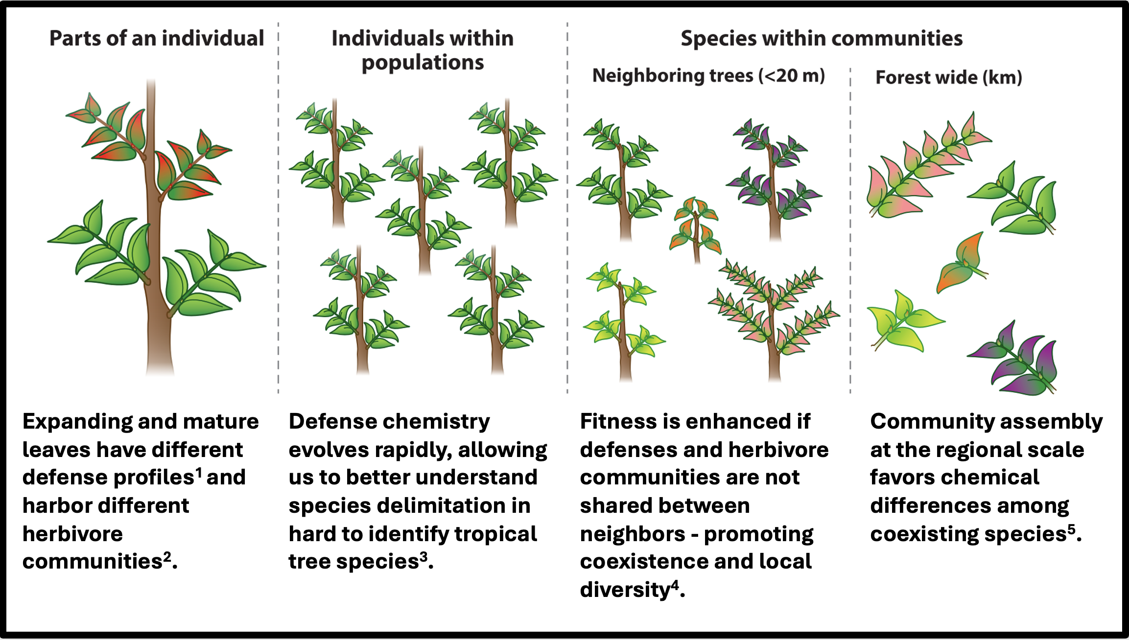 Scales of chemical variation from individuals to clades (Fig. 2)