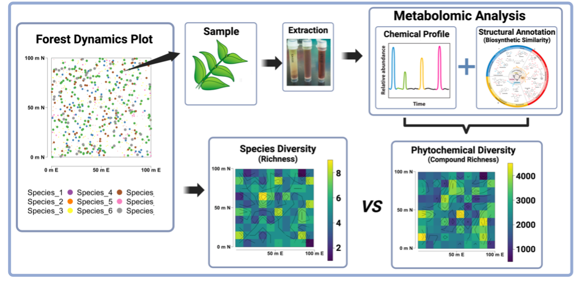 Ecometabolomics schematic