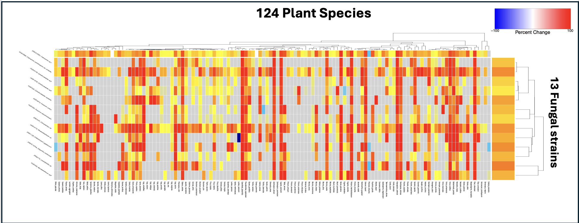 Heatmap of antifungal activity across plant species and pathogens